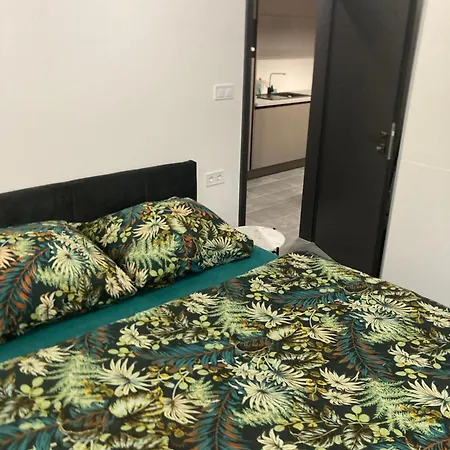 Swiss Star * Mosonmagyarovar